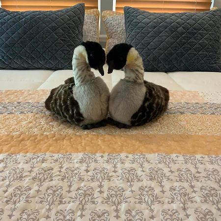 Bed and Breakfast Kilauea House Волкано Экстерьер фото